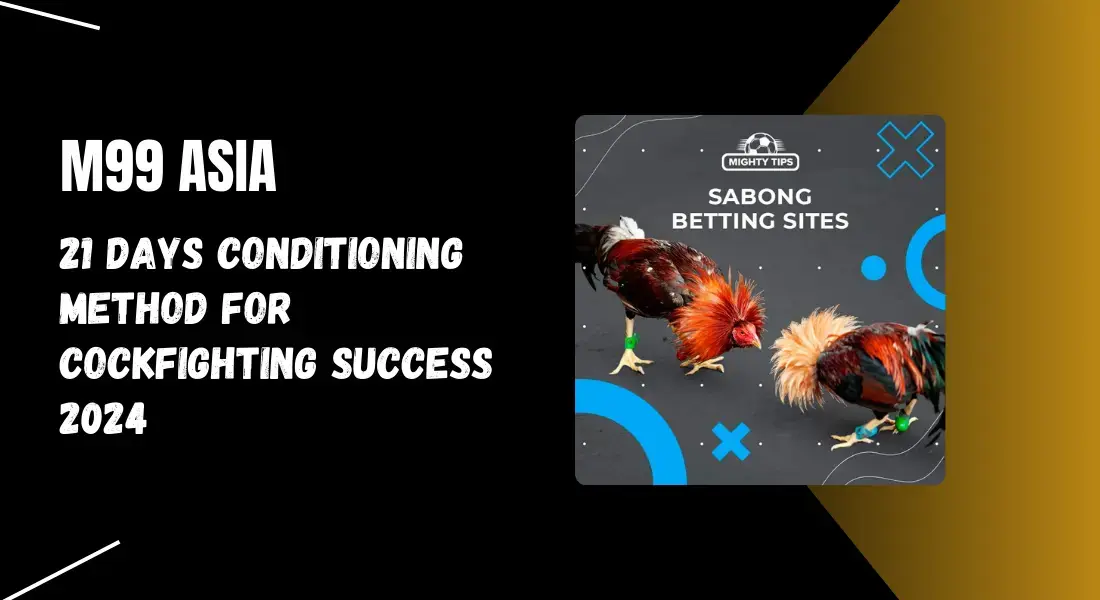 21 Days Conditioning Method for Cockfighting Success 2024