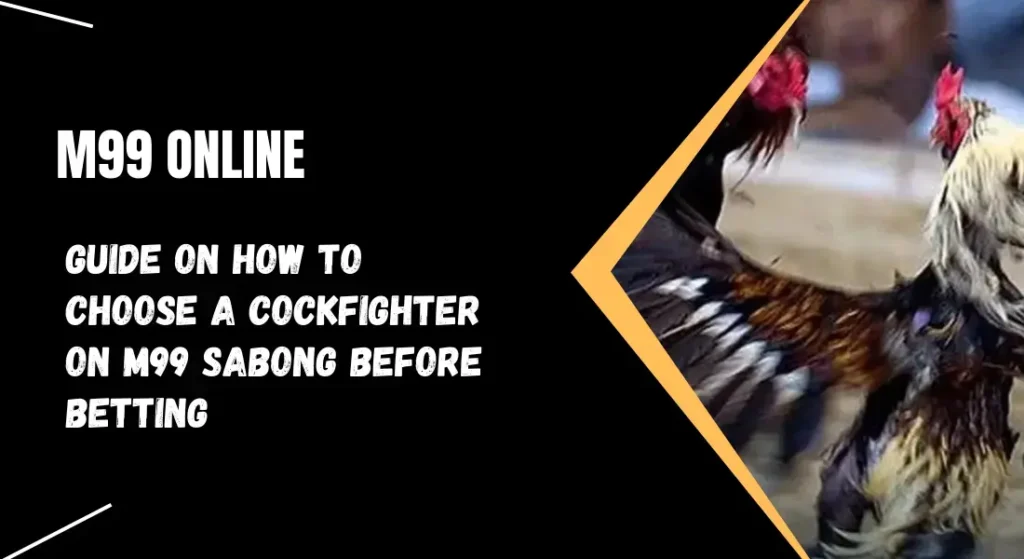 Guide on How to Choose a Cockfighter on m99 Sabong Before Betting